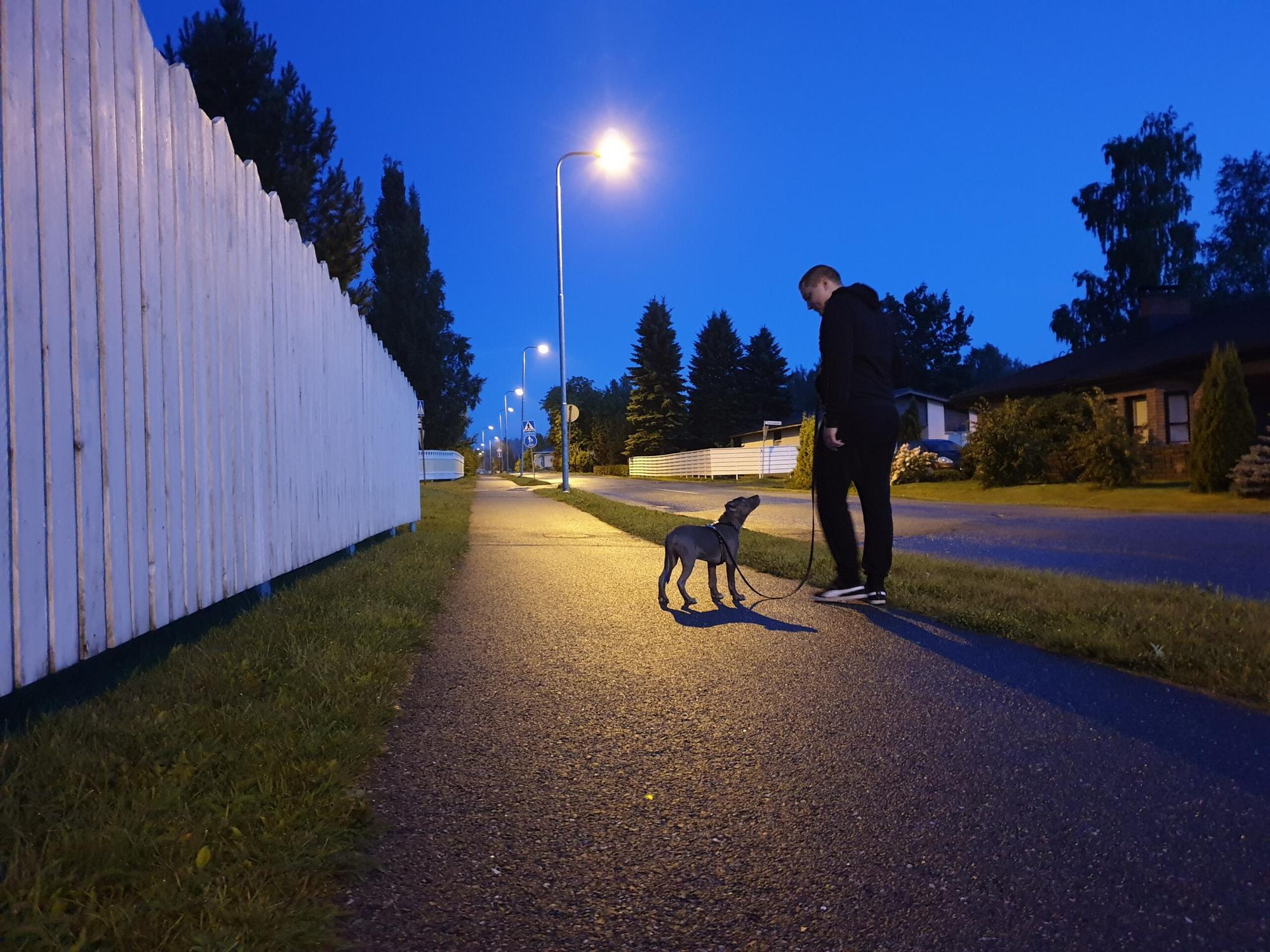 Useilla koiranomistajilla on vaikeuksia lenkeillä koiran kanssa; koira vetää hihnassa, rähjää toisille koirille, säntäilee tai hyppii vasten